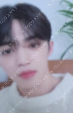 SEVENTEEN's HOME TRADING CARD