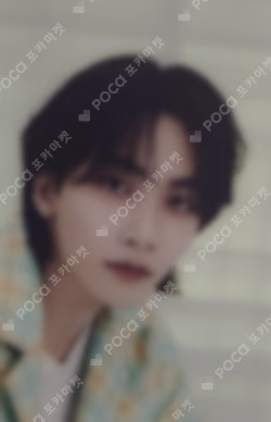 SEVENTEEN TOUR FOLLOW TO SEOUL Pet Photo Card Set