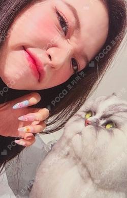 SMTOWN LIVE 2025 in SEOUL COACH JACKET SET YERI photocard image