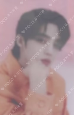 SEVENTEEN TOUR FOLLOW TO SEOUL Pet Photo Card Set