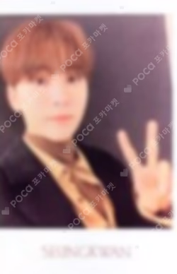SEVENTEEN 2020 WINTER TRADING CARD