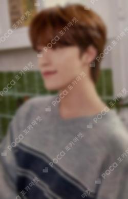 23 SEVENTEEN's HOME PHOTO CARD DINO photocard image