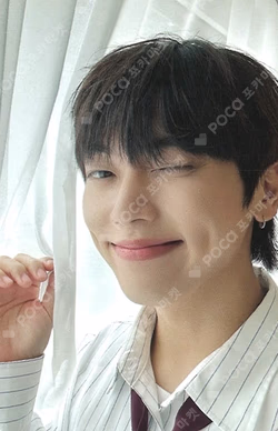 INFUSE POP-UP CAFE PHOTO DECO SET