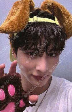 ONE HEARTED EVERLINE