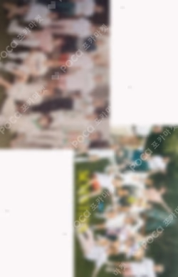 D-icon vol.12 SEVENTEEN MY CHOICE IS... SEVENTEEN LUXURY EDITION