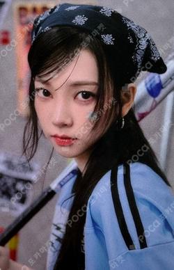 2025 SEASON'S GREETINGS ALL MD / FANPLEE KARINA photocard image