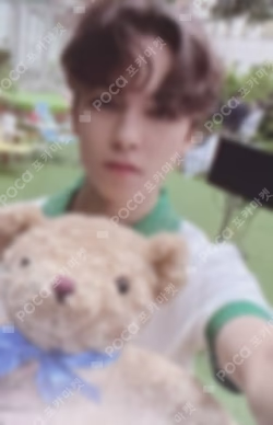 D-icon vol.12 SEVENTEEN MY CHOICE IS... SEVENTEEN SPECIAL EDITION