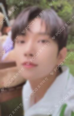 D-icon vol.12 SEVENTEEN MY CHOICE IS... SEVENTEEN SPECIAL EDITION