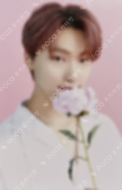 SEVENTEEN CAFE in SEOUL Trading Card Set