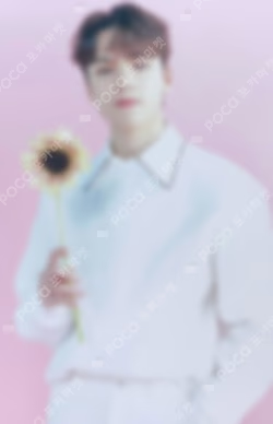 SEVENTEEN CAFE in SEOUL Trading Card Set