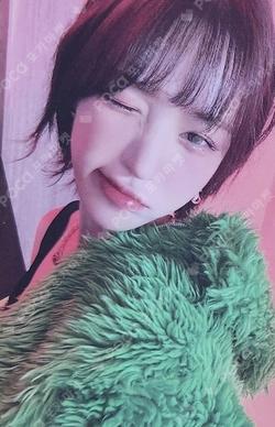 Red Velvet WENDY photocard image