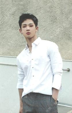 Twilight LEEDO photocard image