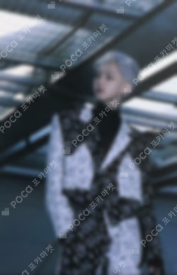 Spider Trading Card Set