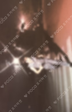 Wait Trading Card Set