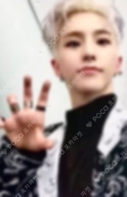 Spider Trading Card Set