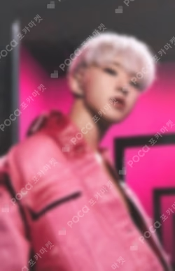 Spider Trading Card Set