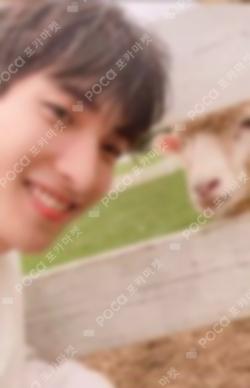 SOCIAL CLUB : CARAT DA CAPO Ver. DK photocard image
