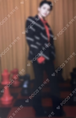 Ruby Trading Card Set WOOZI photocard image