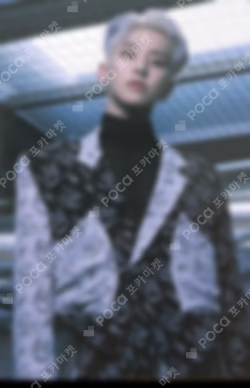 Spider Trading Card Set