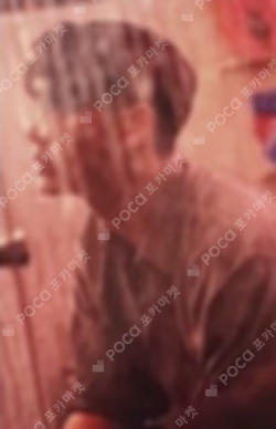 Bittersweet Trading Card Set