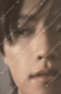 Wait Trading Card Set