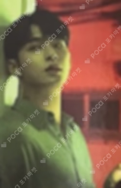 Bittersweet Trading Card Set