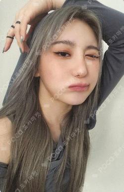 2024 SEASON'S GREETINGS [Secret Agent C]