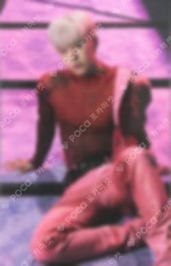 Spider Trading Card Set