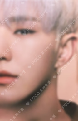 Spider Trading Card Set