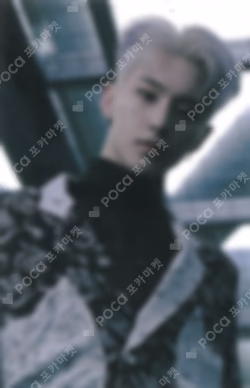 Spider Trading Card Set