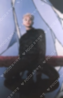 Spider Trading Card Set