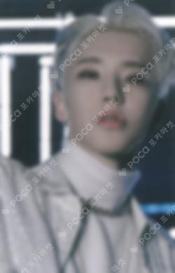 Spider Trading Card Set