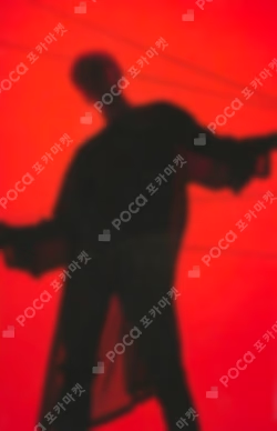 Spider Trading Card Set