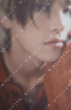 Wait Trading Card Set