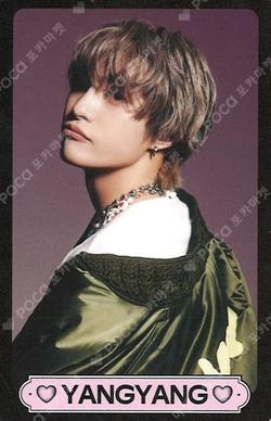 Give Me That RANDOM TRADING CARD SET PINK VER. YANGYANG photocard image