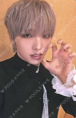 SPECIAL ALBUM [Dear.M] DEAR MY MUSE