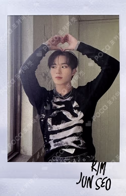 The Feelings Manic ver.