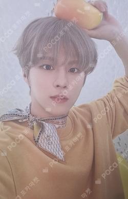 2022 SEASON'S GREETING KIM WOO SEOK photocard image