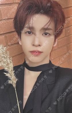 FIND THE ORBIT PLVE ver. ALLEN photocard image