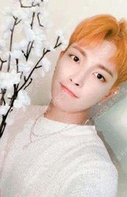 ZERO : FEVER Part.3 MUSICART LUCKY DRAW HONGJOONG photocard image