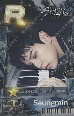 Stray Kids World Tour dominATE JAPAN SuperStarJYPNATION