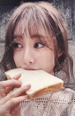 2025 SEASON’S GREETINGS : SUNFLOWER SOUND WAVE