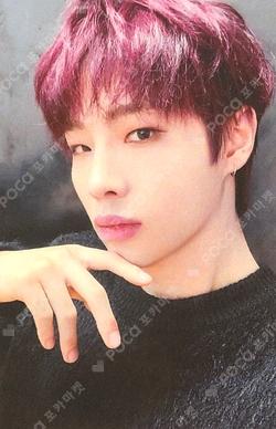 NEW CHAPTER : LUCEAT EVERLINE MUZIN photocard image