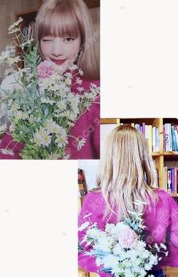 I love MAKESTAR MINNIE photocard image