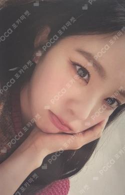 Like A Flower RANDOM TRADING CARD SET IRENE photocard image