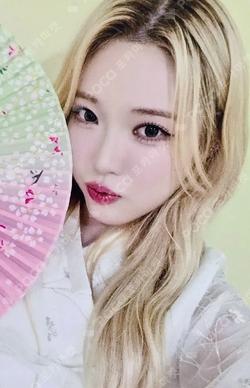 appendix: Of All We Have Lost EVERLINE HARAM photocard image