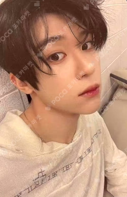 Steady YIZHIYU SION photocard image