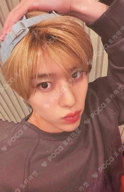 Songbird KMS SION photocard image