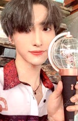 OFFICIAL LIGHT STICK CASE