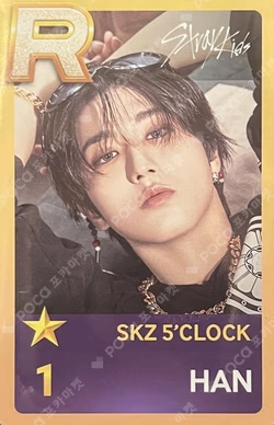 Stray Kids 5TH FANMEETING ‘SKZ 5’CLOCK’ SuperStarJYPNATION